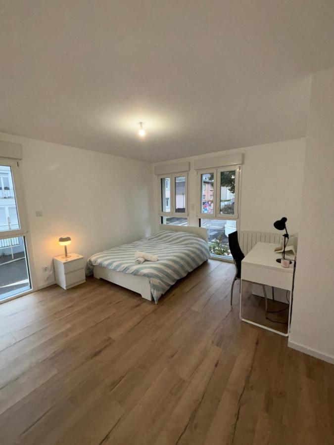 Appartement + Parking + Terrasse Mulhouse Buitenkant foto