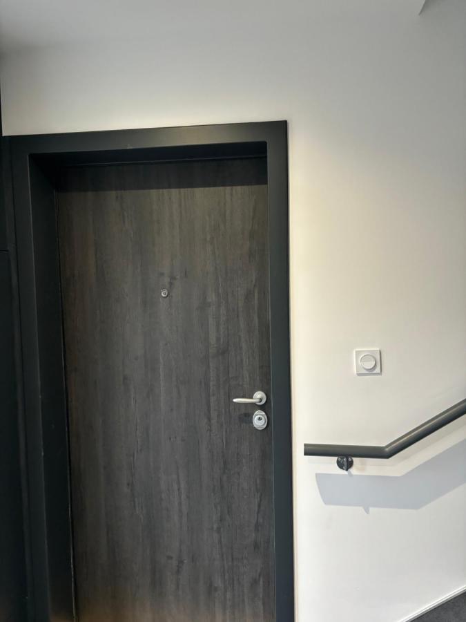 Appartement + Parking + Terrasse Mulhouse Buitenkant foto